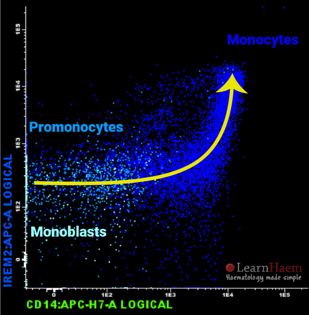 Flow Cytometry: Monocytic Maturation (IREM2 / CD300e and CD14)