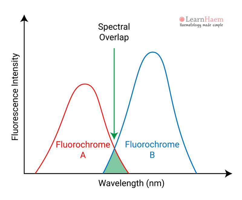 Fluorescence LearnHaem Haematology Made Simple
