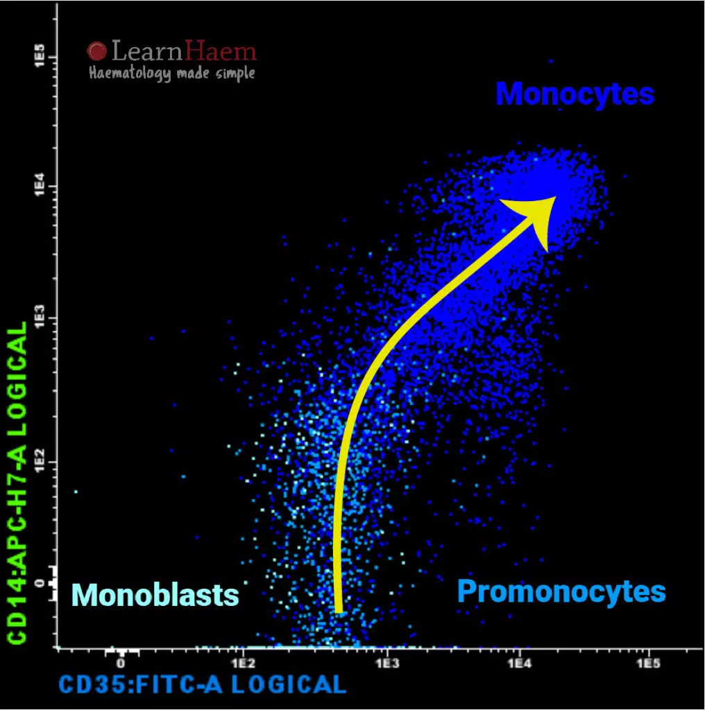 Flow Cytometry: Monocytic Maturation (CD14 and CD35)