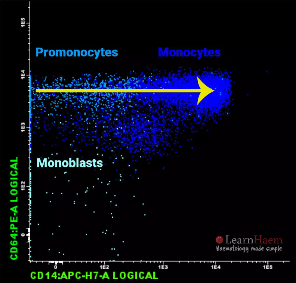 Flow Cytometry: Monocytic Maturation (CD64 and CD14)