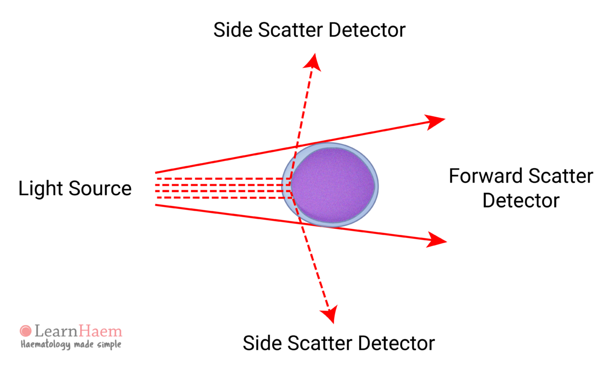 Light Scatter LearnHaem Haematology Made Simple light-scatter-learnhaem-haematology-made-simple