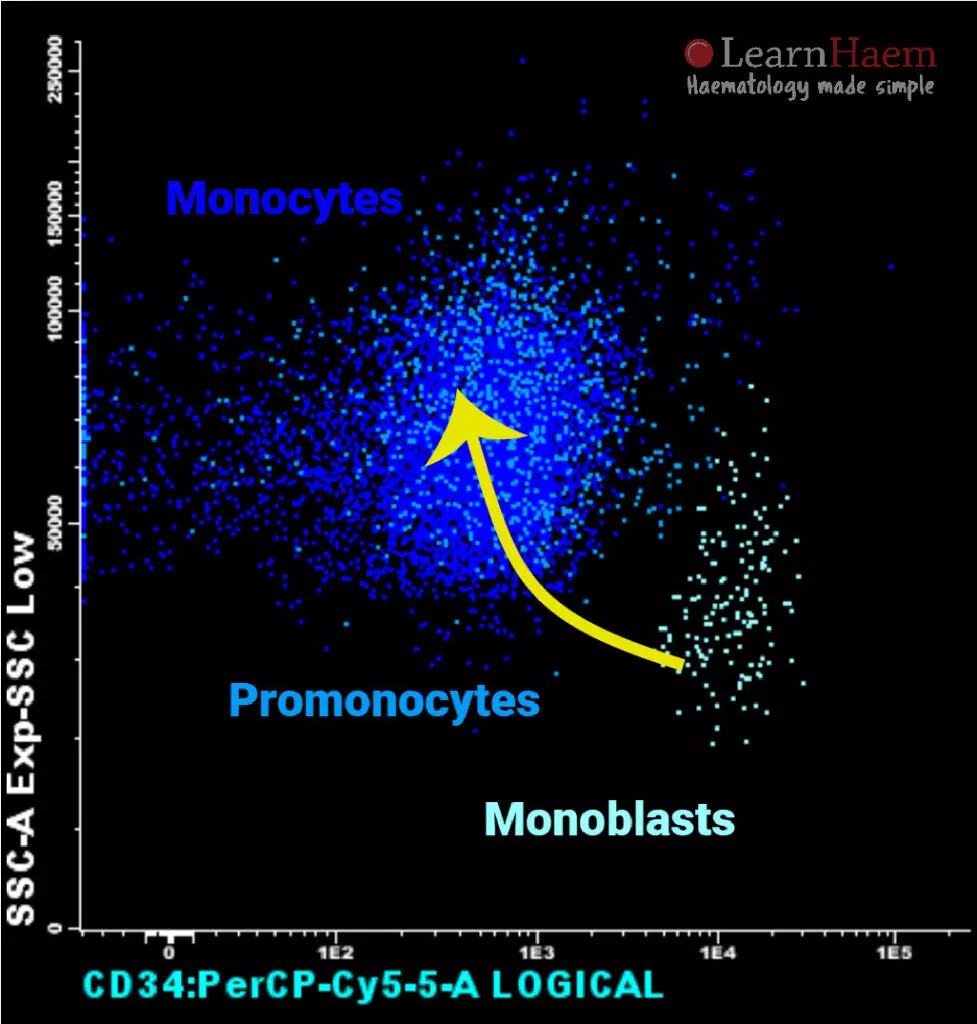 Flow Cytometry: Monocytic Maturation (Side Scatter and CD34)