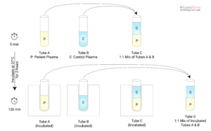 Inhibitor Screen - LearnHaem | Haematology Made Simple